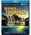 DESPUÉS DE LA TORMENTA (IMAX)