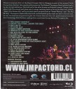 THE RICHARD THOMPSON BAND - LIVE AT CELTIC CONNECTIONS