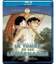 LA TUMBA DE LAS LUCIÉRNAGAS (ESTUDIO GHIBLI)