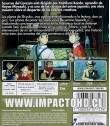 SUSURROS DEL CORAZÓN (ESTUDIO GHIBLI)