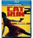 CAT RUN 2