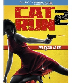 CAT RUN 2
