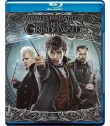 ANIMALES FANTÁSTICOS 2 (LOS CRÍMENES DE GRINDELWALD) (*)