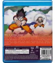 DRAGON BALL Z: GOKU ES UN SUPER SAIYAJIN (PELÍCULA N° 8)