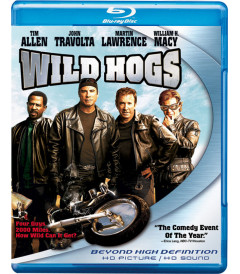 REBELDES CON CAUSA (WILD HOGS)