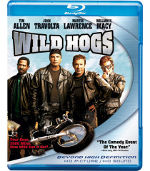 REBELDES CON CAUSA (WILD HOGS)