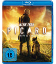 STAR TREK PICARD - (1° TEMPORADA)