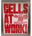 CELLS AT WORK! VOL. 1 + 2 SERIE COMPLETA