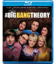 LA TEORÍA DEL BIG BANG (TEMPORADA 8° COMPLETA)