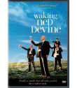 DVD - EL DIVINO NED