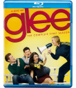 GLEE (1° TEMPORADA COMPLETA)