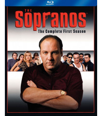 LOS SOPRANOS (1° TEMPORADA COMPLETA) - USADA