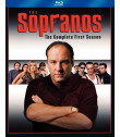 LOS SOPRANOS (1° TEMPORADA COMPLETA) - USADA