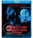 UN HOMBRE LOBO AMERICANO EN PARÍS - Blu-ray