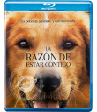 LA RAZÓN DE ESTAR CONTIGO (*) - Blu-ray