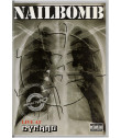 DVD - NAILBOMB (LIVE AT DYNAMO) - USADA