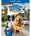 COMO PERROS Y GATOS 3 !PATAS UNIDAS¡ - Blu-ray + DVD
