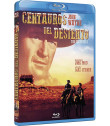 CENTAUROS DEL DESIERTO