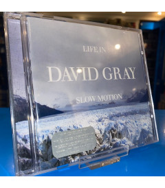 CD - DAVID GRAY - LIFE IN SLOW MOTION