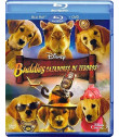 BUDDIES - CAZADORES DE TESOROS - BD + DVD