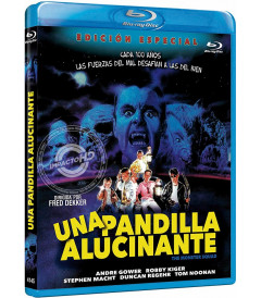 UNA PANDILLA ALUCINANTE (EDICIÓN ESPECIAL) - Blu-ray
