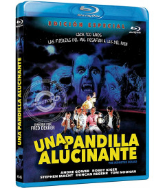 UNA PANDILLA ALUCINANTE (EDICIÓN ESPECIAL)