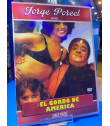 DVD - EL GORDO DE AMERICA 