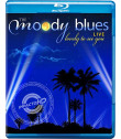 THE MOODY BLUES (LIVE - LOVELY TO SEE YOU) - USADO