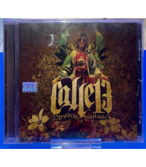 CD - CALLE 13 (RESIDENTE o VISITANTE) - USADO