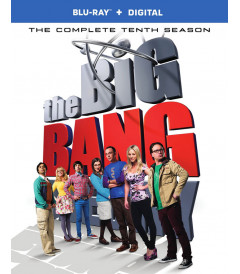 LA TEORÍA DEL BIG BANG - 10° TEMPORADA COMPLETA - USADO